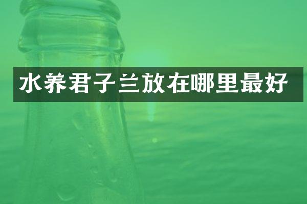 水养君子兰放在哪里最好