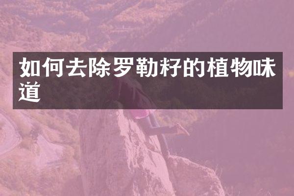 如何去除罗勒籽的植物味道