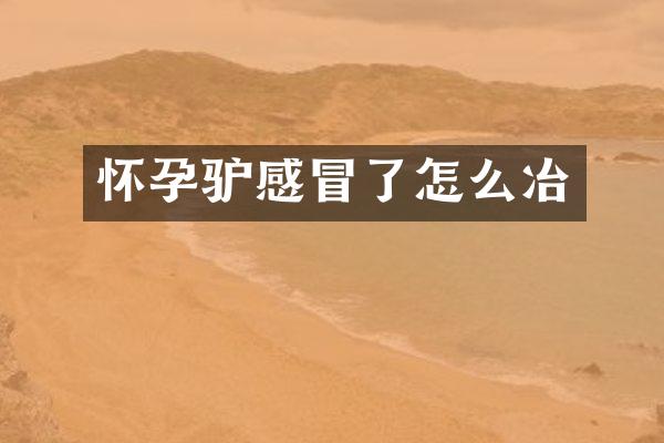 怀孕驴感冒了怎么冶
