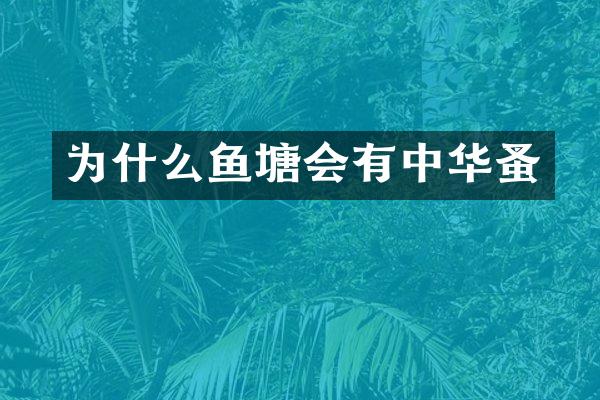 为什么鱼塘会有中华蚤
