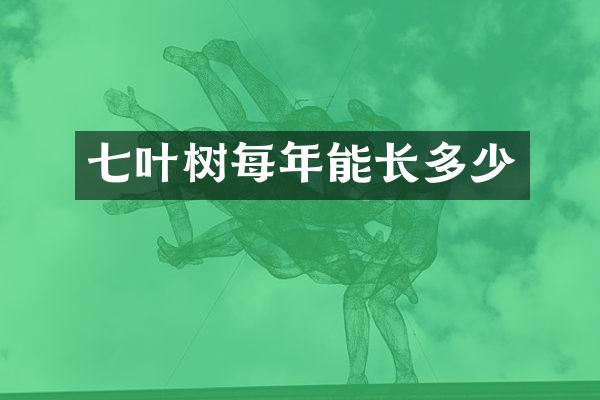 七叶树每年能长多少