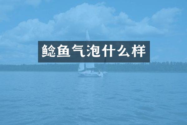 鲶鱼气泡什么样