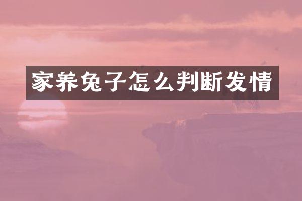 家养兔子怎么判断发情