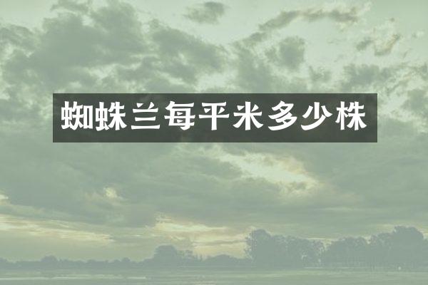 蜘蛛兰每平米多少株