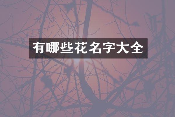 有哪些花名字大全