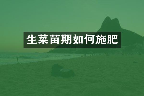 生菜苗期如何施肥