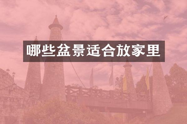 哪些盆景适合放家里