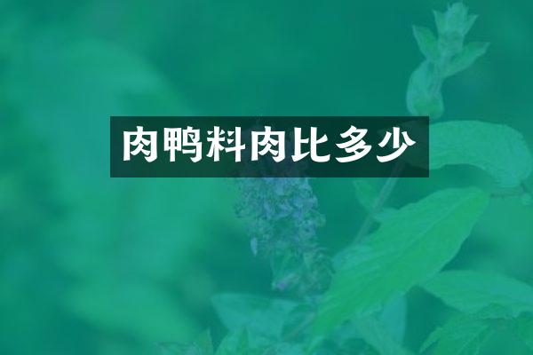 肉鸭料肉比多少