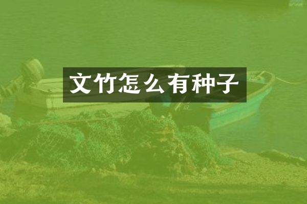 文竹怎么有种子
