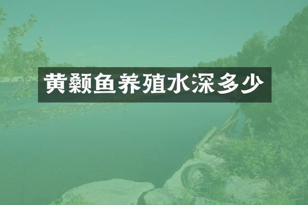 黄颡鱼养殖水深多少