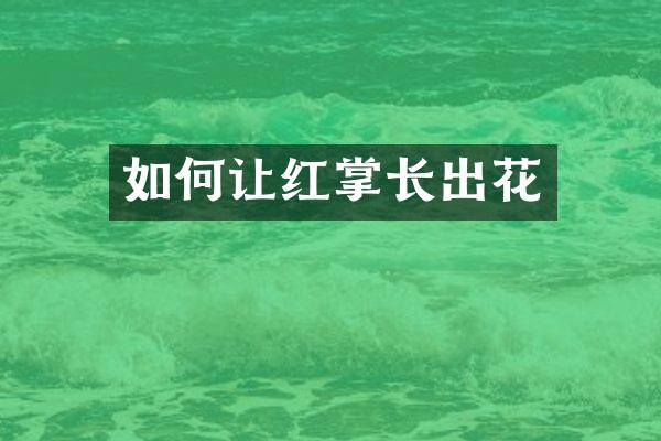 如何让红掌长出花