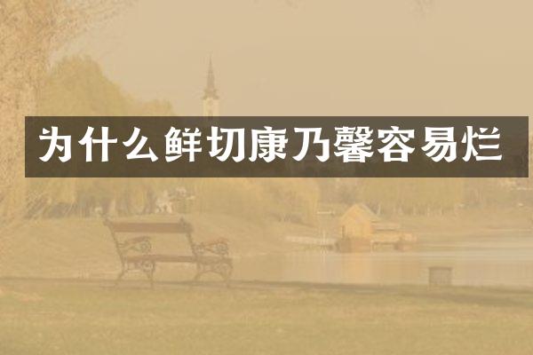 为什么鲜切康乃馨容易烂