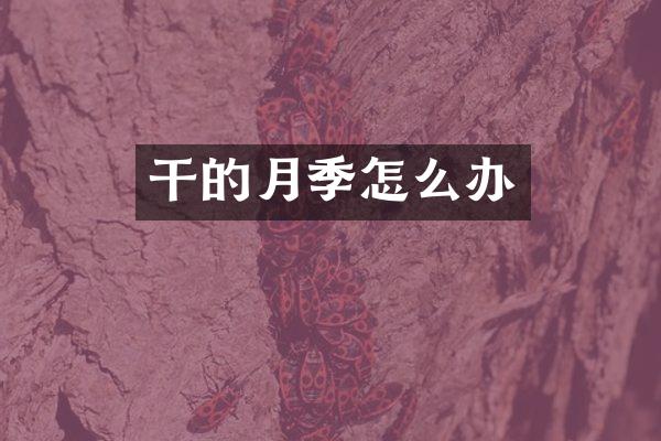 干的月季怎么办