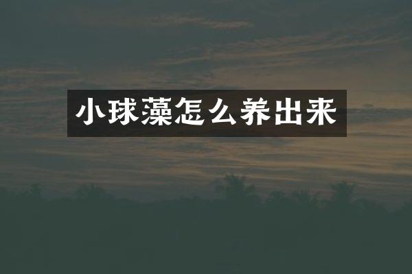 小球藻怎么养出来