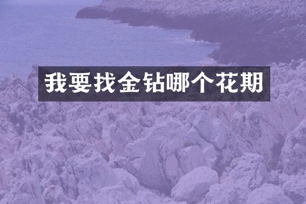我要找金钻哪个花期