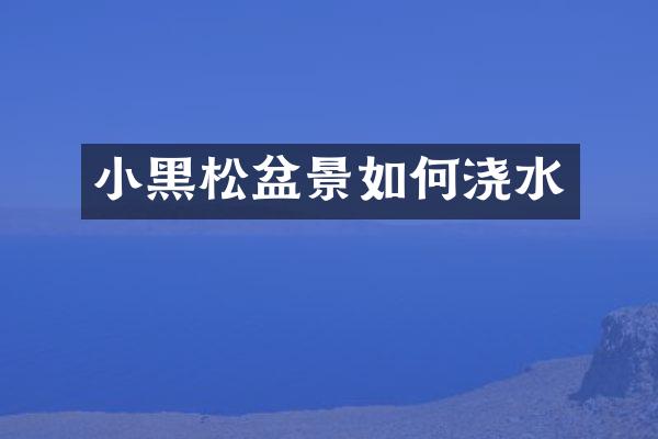 小黑松盆景如何浇水