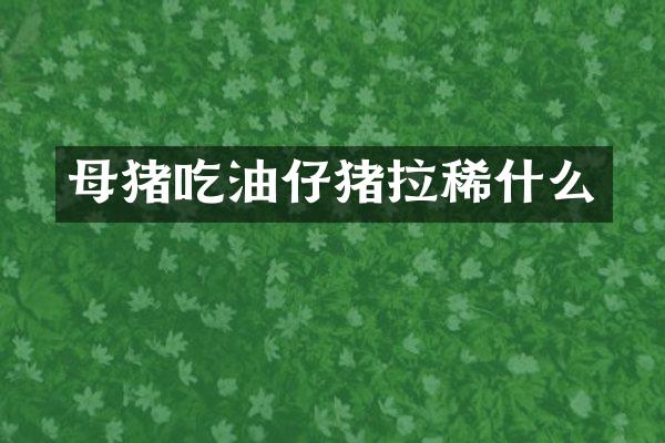 母猪吃油仔猪拉稀什么