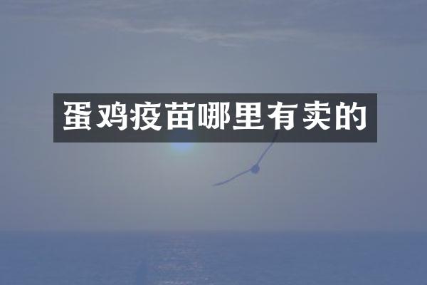 蛋鸡疫苗哪里有卖的