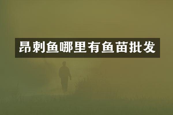 昂刺鱼哪里有鱼苗批发