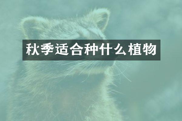 秋季适合种什么植物