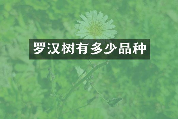 罗汉树有多少品种