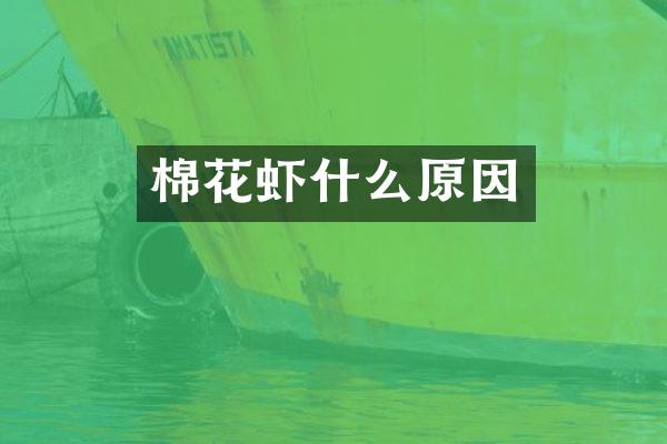 棉花虾什么原因