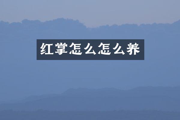 红掌怎么怎么养