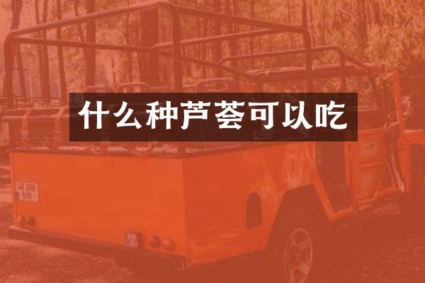 什么种芦荟可以吃
