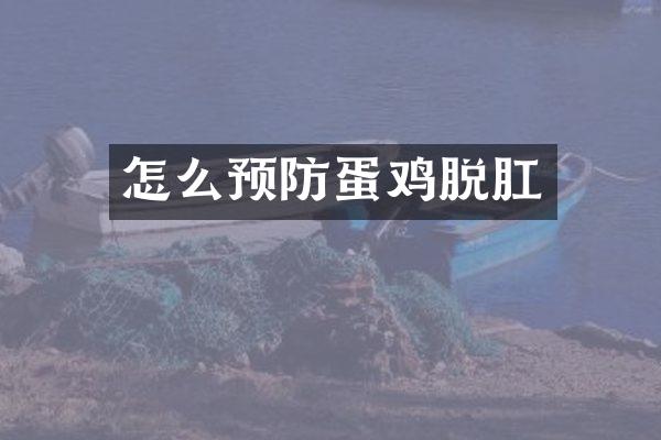 怎么预防蛋鸡脱肛