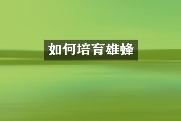 如何培育雄蜂