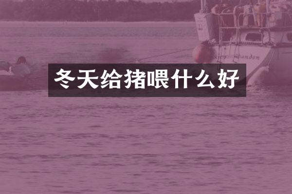 冬天给猪喂什么好