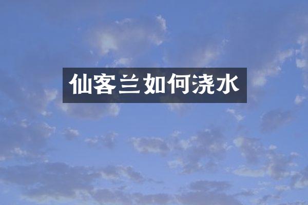仙客兰如何浇水