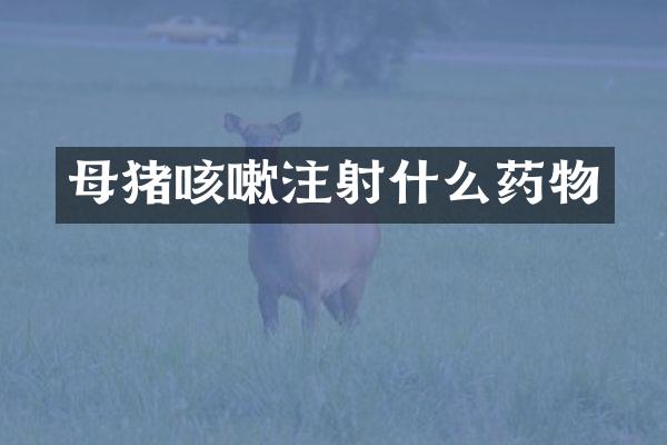 母猪咳嗽注射什么药物