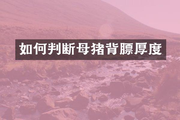 如何判断母猪背膘厚度