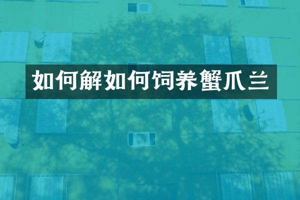 如何解如何饲养蟹爪兰