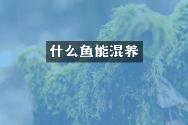 什么鱼能混养
