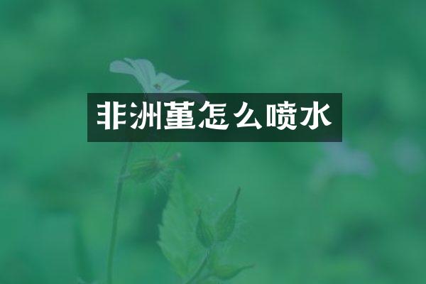 非洲堇怎么喷水