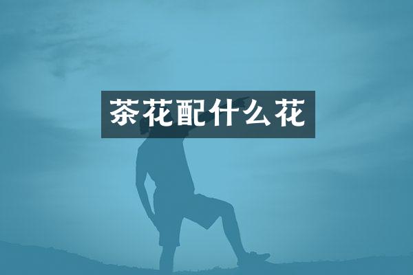 茶花配什么花