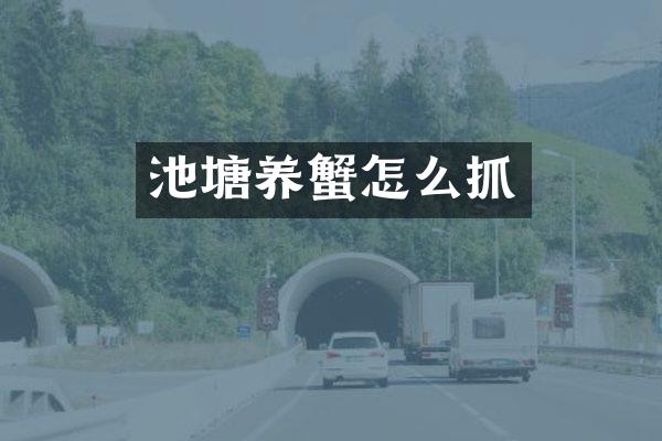 池塘养蟹怎么抓