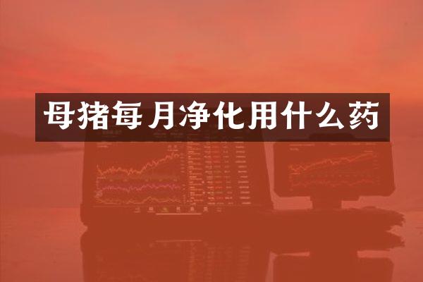 母猪每月净化用什么药