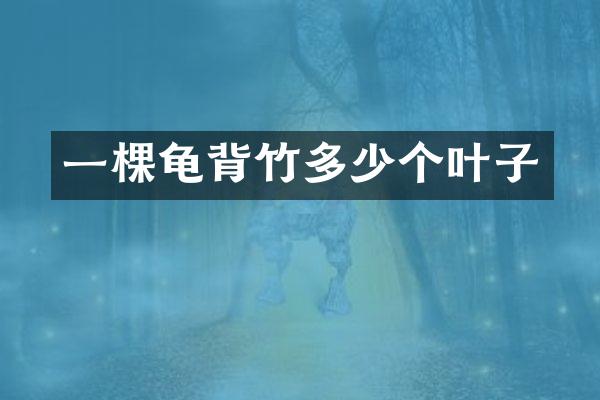 一棵龟背竹多少个叶子