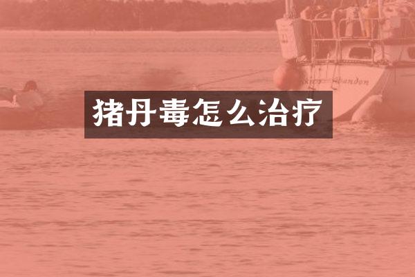 猪丹毒怎么治疗