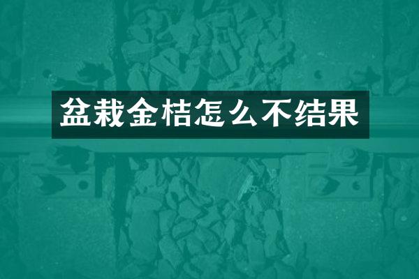 盆栽金桔怎么不结果