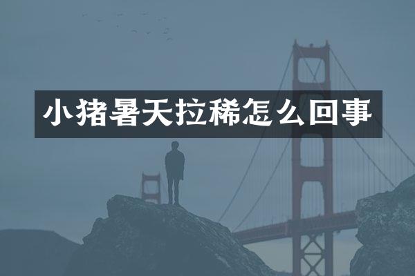 小猪暑天拉稀怎么回事