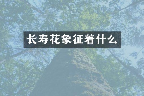 长寿花象征着什么