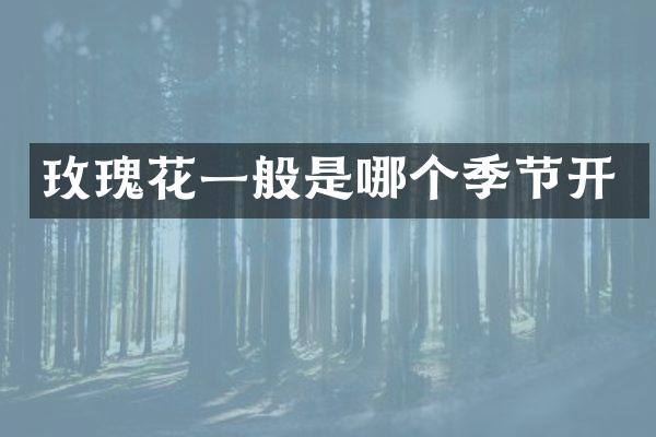 玫瑰花一般是哪个季节开