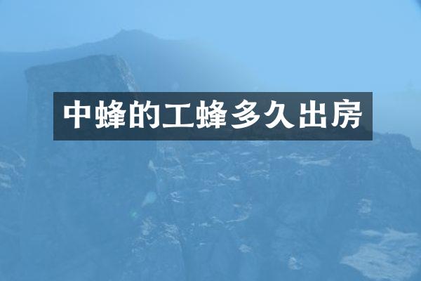 中蜂的工蜂多久出房