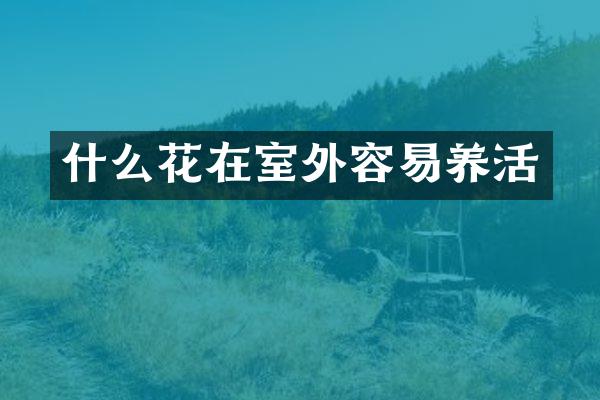 什么花在室外容易养活