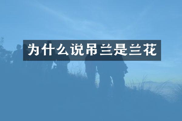 为什么说吊兰是兰花