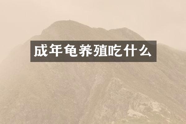 成年龟养殖吃什么